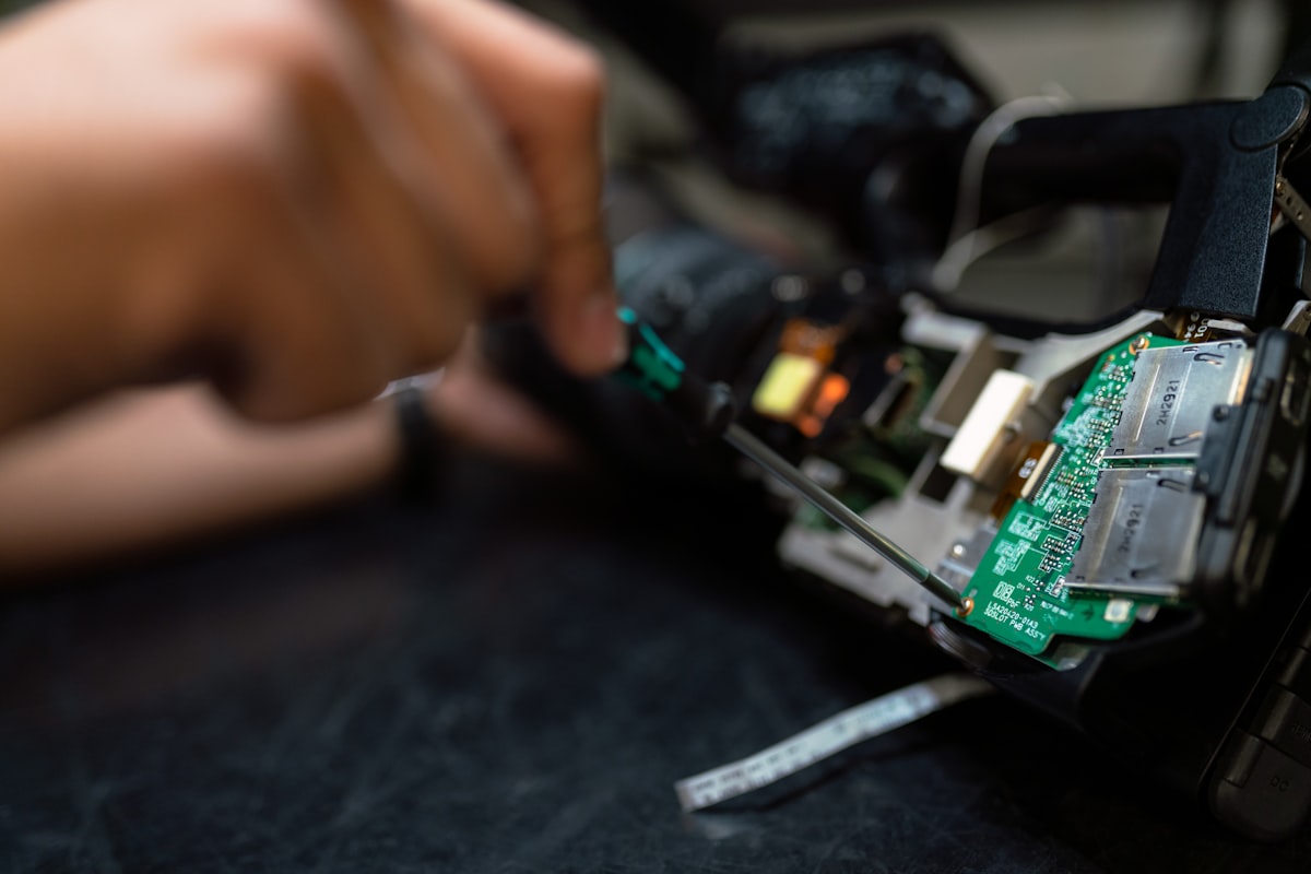 Petite entreprise et activité professionnelle