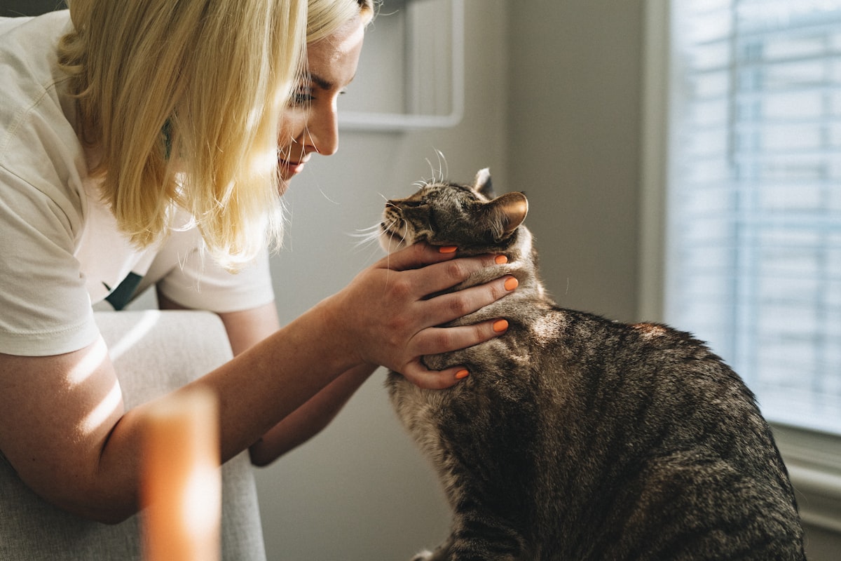 Soins vétérinaires pour chien et chat